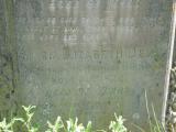 image of grave number 710710